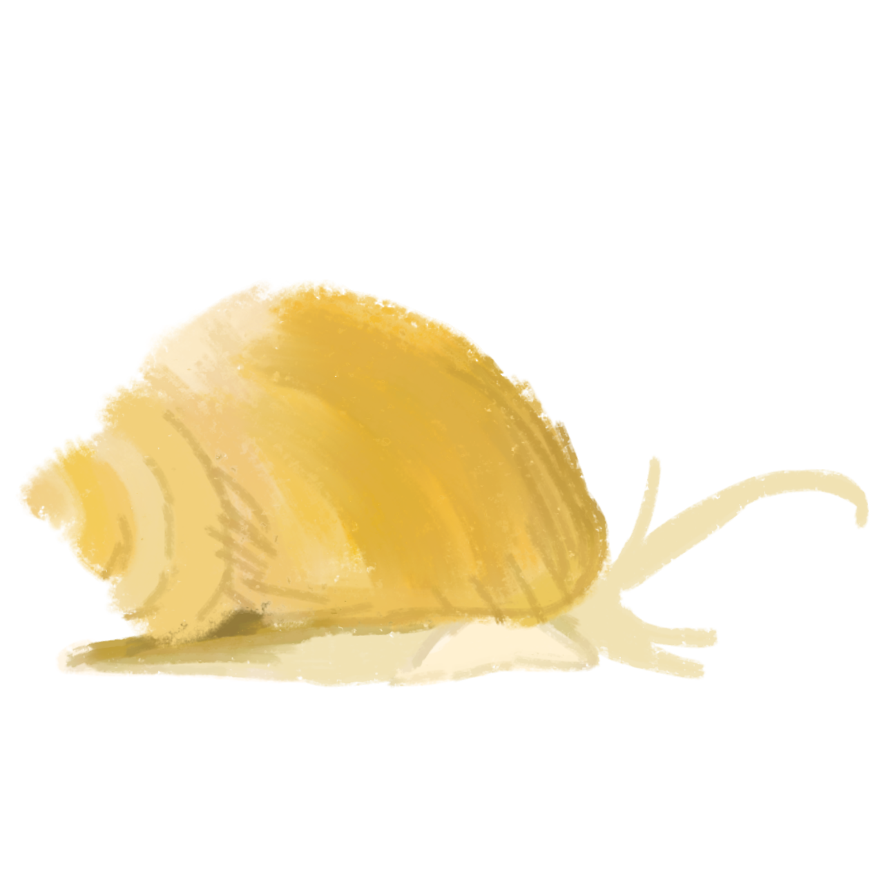 a crayon styled digital 
depiction of a gold inca snail, with its rounded, golden-yellow shell and light yellow body.